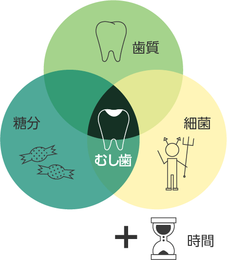 むし歯の発生要因